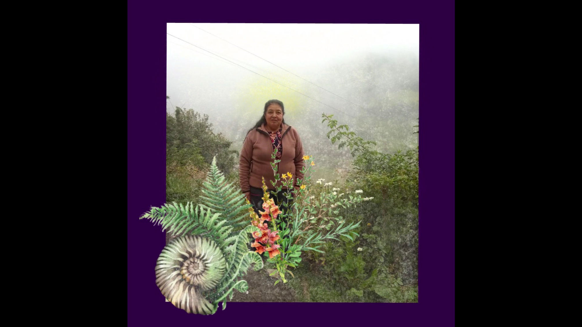 Rosa Moreno
